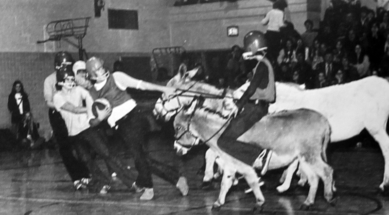 Students wearing football helmets can be seen dragging a donkey across the school basketball court, basketball in hand.